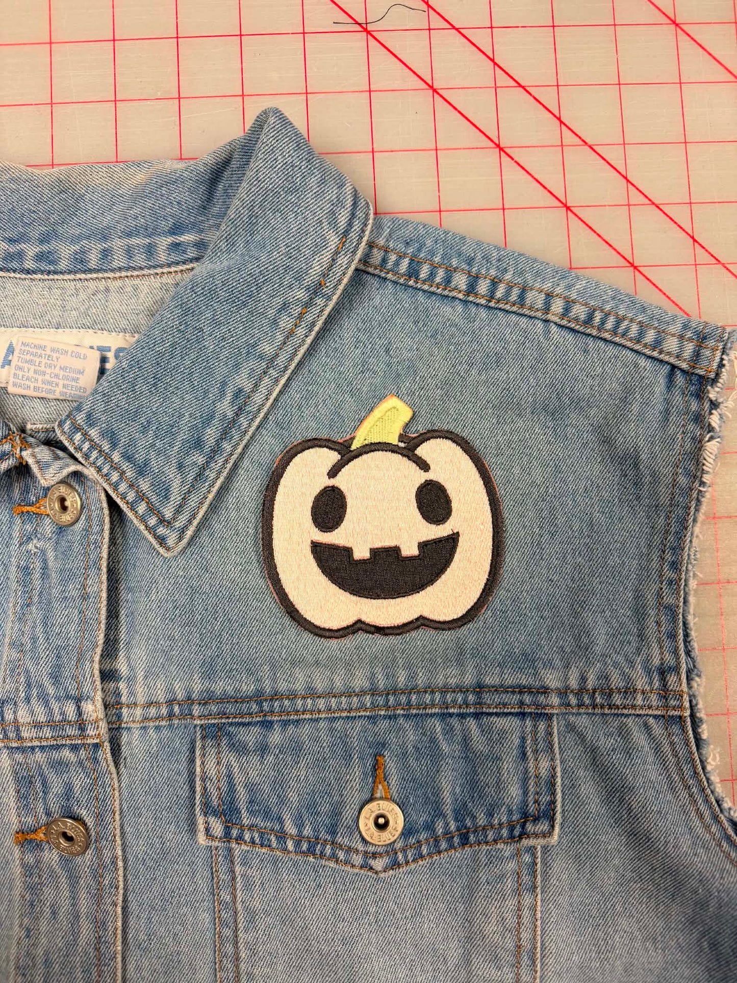 pumpkin patch pastel- pink patch